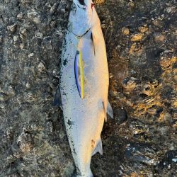 ただいま！北海道