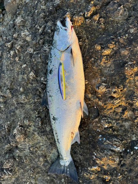 ただいま！北海道