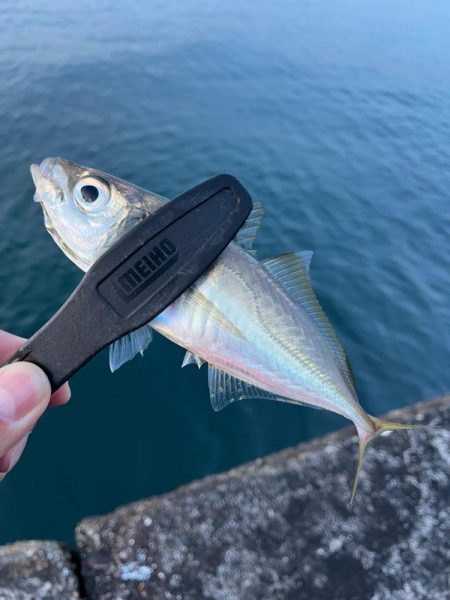 久々に活動開始❗️