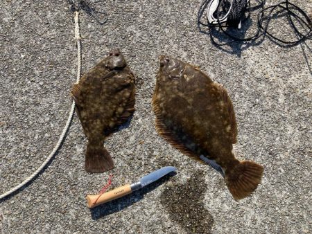 ２年振りのカレイ釣り（記録更新）