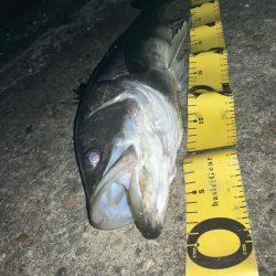 @余暇の終わりに