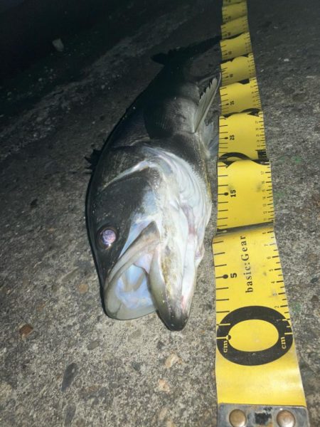 @余暇の終わりに