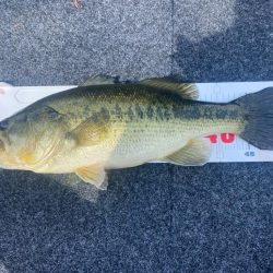 午前中ボート釣行!