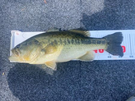 午前中ボート釣行!