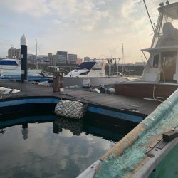 タイラバのつもりが…