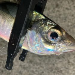 やっと雨も止んだので！