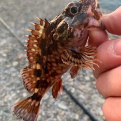 久しぶりの釣り日和