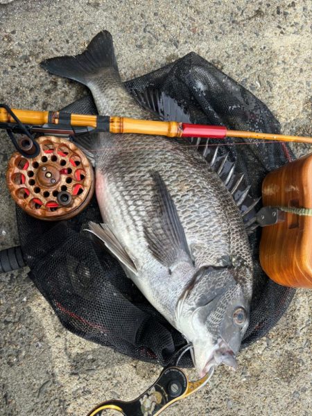 ヘチってきました