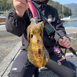 愛南遠征(土曜日)