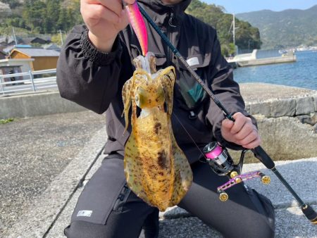 愛南遠征(土曜日)