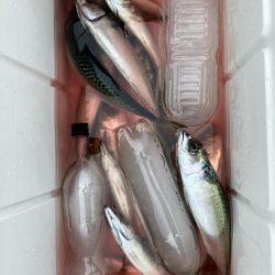 SLJ便に乗ってきました