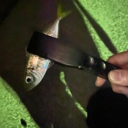 ランガンアジング