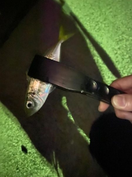 ランガンアジング