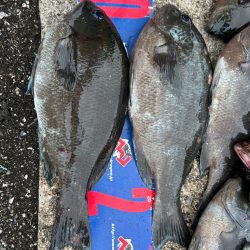 魚津港 フカセ釣り