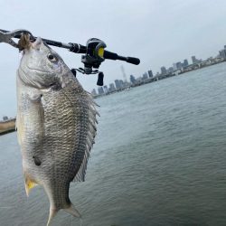 淀川でチニング