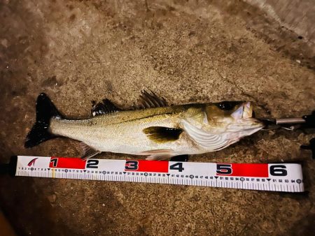 久しぶりの連続ヒット