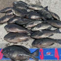 魚津港 フカセ釣り