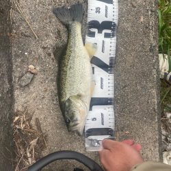 またまた早朝に