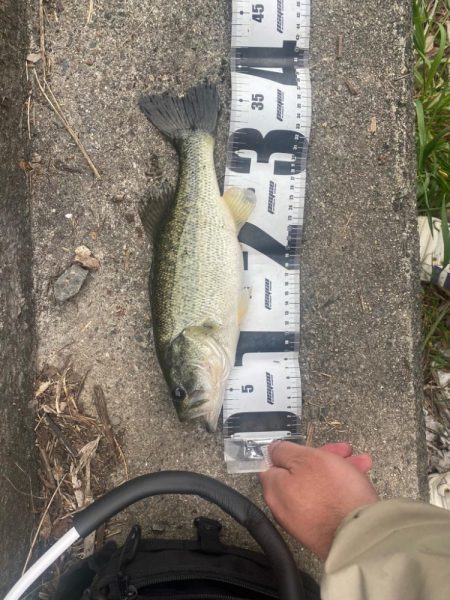 またまた早朝に