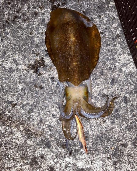 ゴールデンウィーク開幕