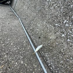 遠投サビキ二日目