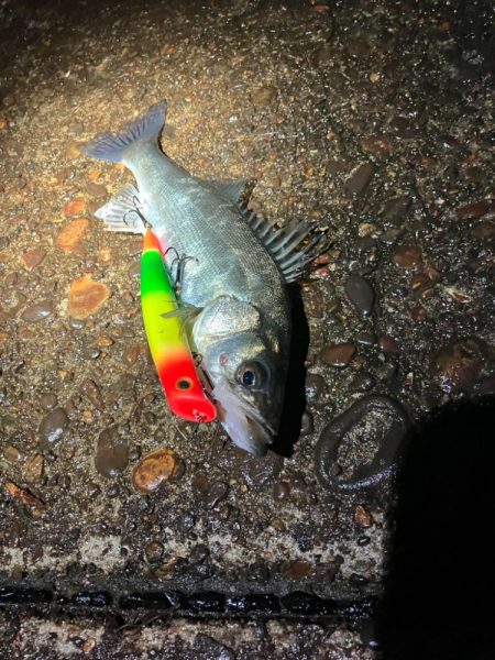 ホントに申し訳ない‼…