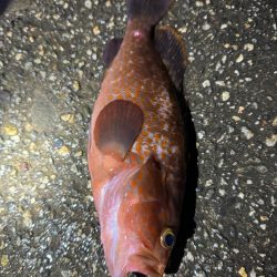 今日もいつもの場所へ