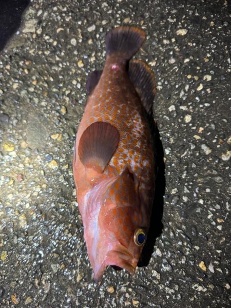 今日もいつもの場所へ