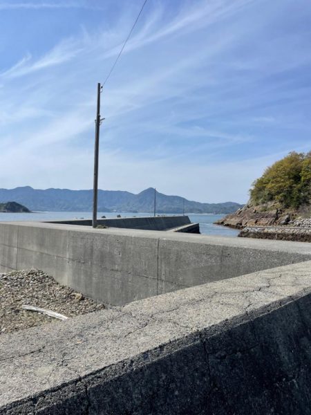 遠投サビキ‼️