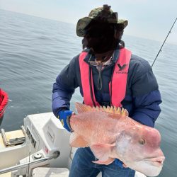 タンコブゲーム2