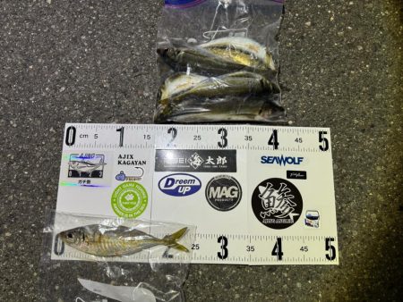 ロックアジング🪨…