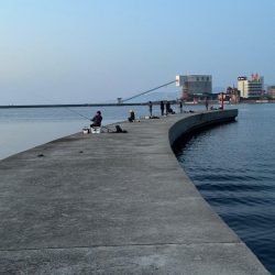 淡路島で、キス狙い