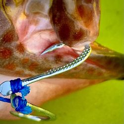 カヤックフィッシング