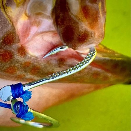 カヤックフィッシング