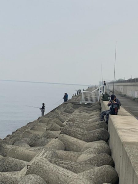 メバルをゲットだぜ‼️