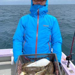 室津のカットウフグ