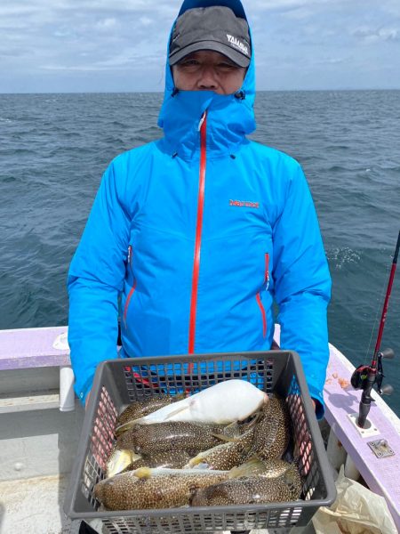 室津のカットウフグ