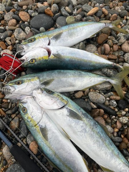 仕事終わりに！