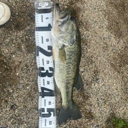 たくさん釣れました！！