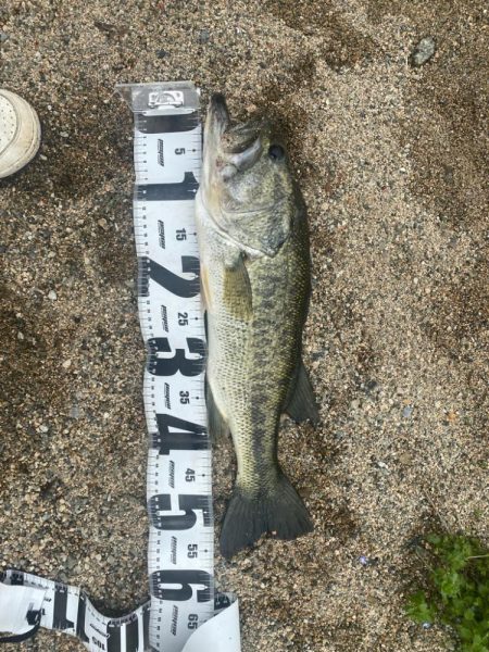 たくさん釣れました！！