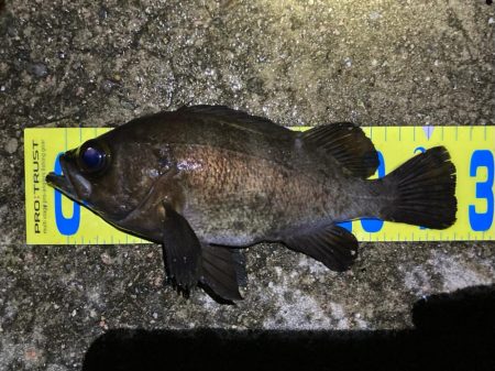 ひたすらキャスト