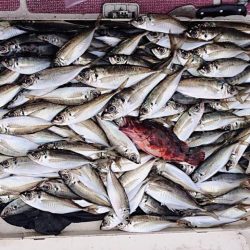 アンカリングのコツを知りたいw