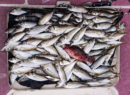 アンカリングのコツを知りたいw