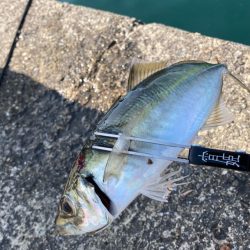 淡路島で釣り🎣