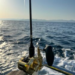 激渋釣行 気合いの一枚