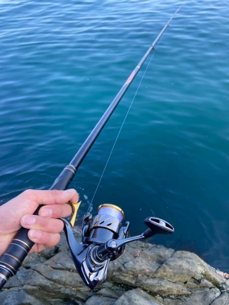 良型イサキにチヌ