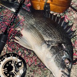 ヘチってきました