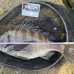 何をやっても釣れません