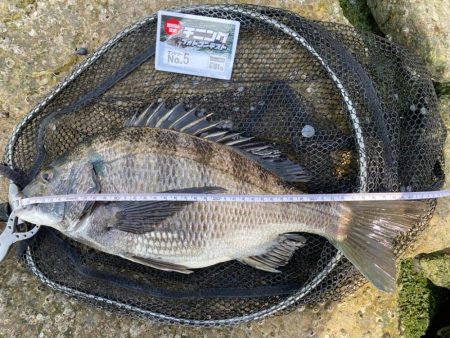 何をやっても釣れません