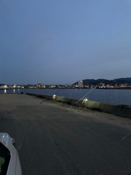 花見🌸カレイ狙い